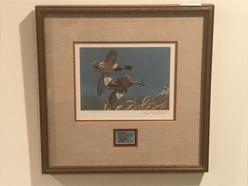 lot 37 image: Framed 1981 Mallard Duck Stamp & ...