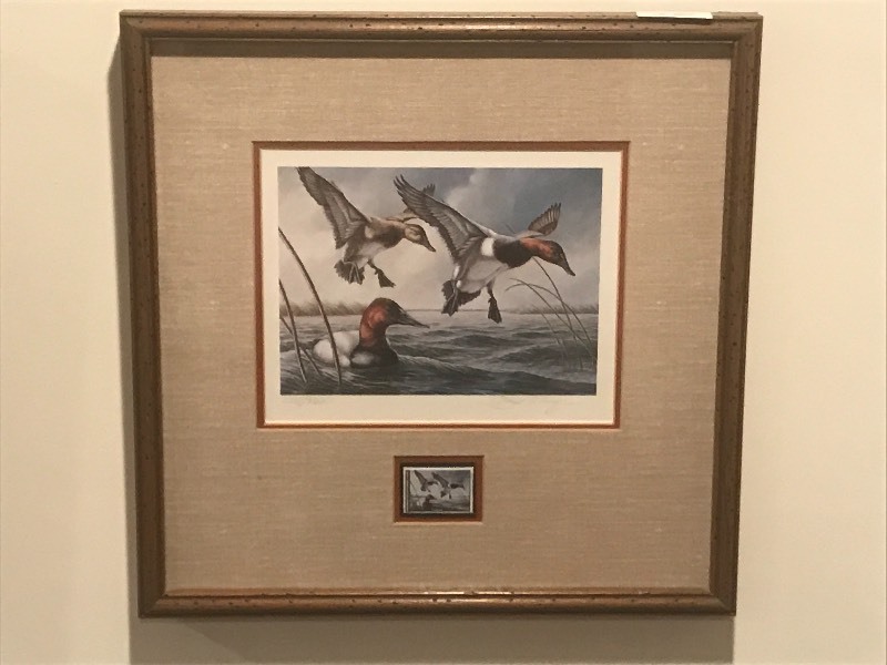 lot 38 image: Framed 1980 Canvasbacks Duck Stam...