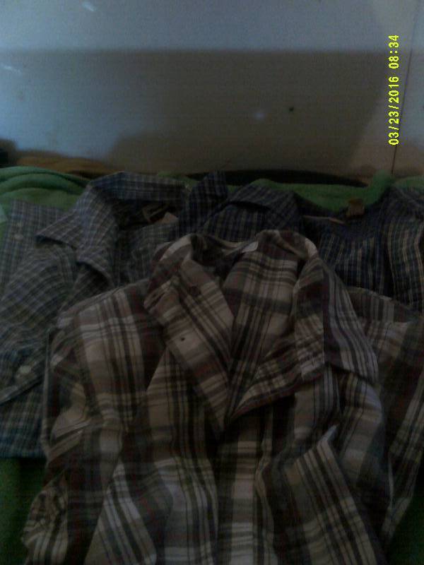 3 X LG SHORT SLEEVE SHIRTS