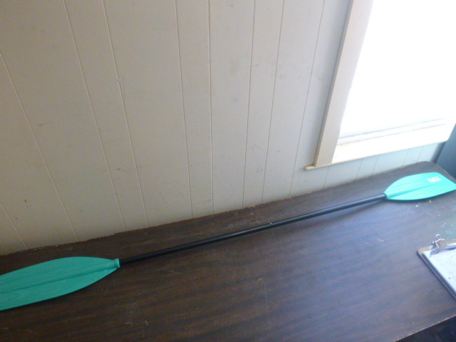 lot 180 image: Propel Kayak Paddle