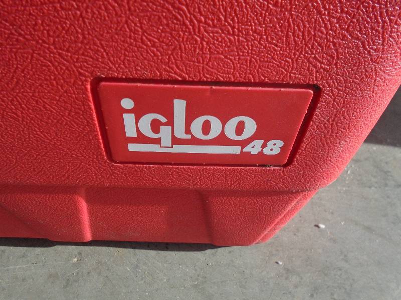 Igloo Cooler