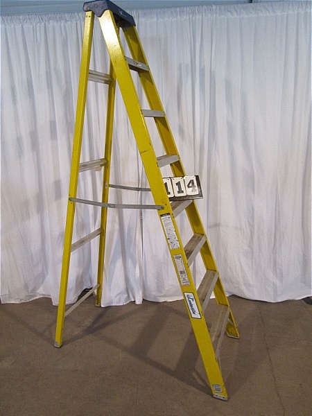 lot 114 image: Louisville 8 ft Ladder