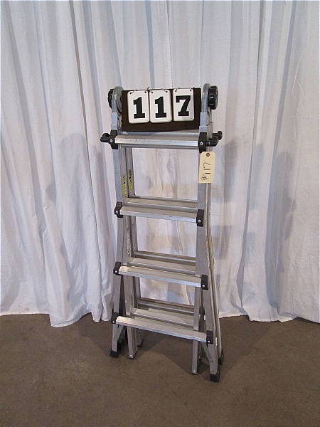 lot 117 image: Cosco Multi-Use Ladder System