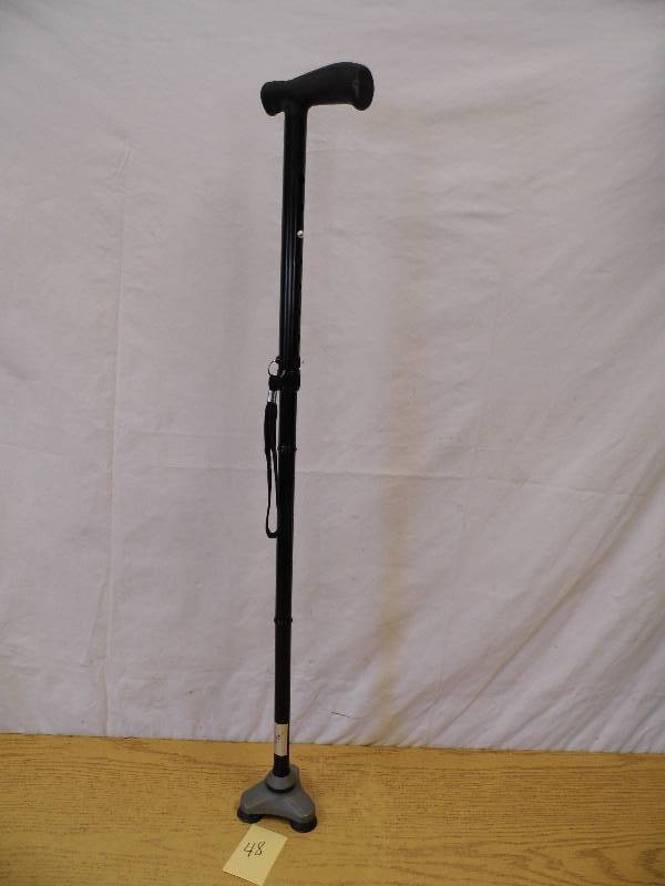 lot 48 image: Cane
