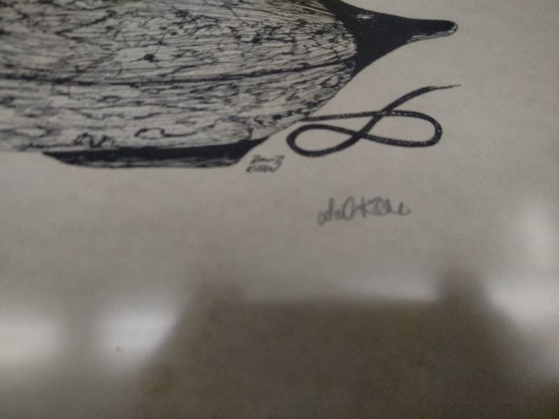 Wood Duck Print or Sketch 17x14...