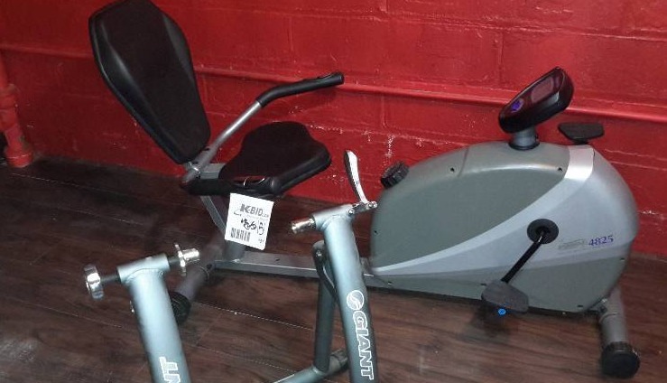 Stamina 4815 Recumbant style exercise Bike