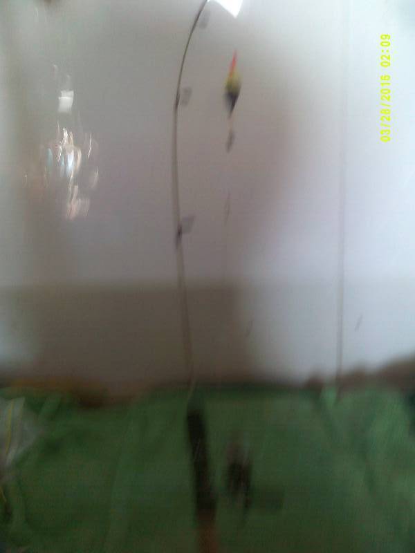 36 INCH ZEBCO ROD AND REEL