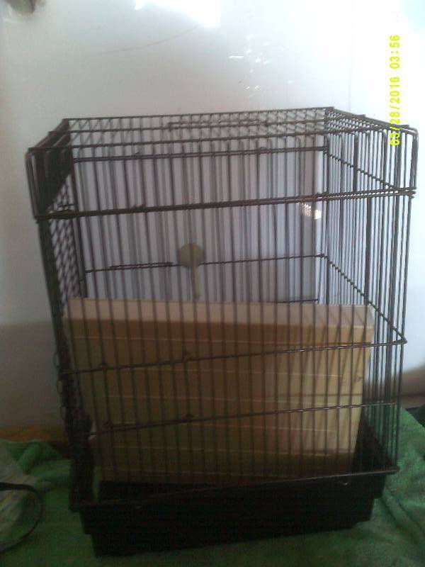 FULL SIZE BIRD CAGE