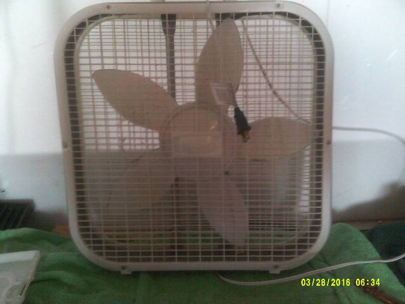 25 INCH BOX FAN