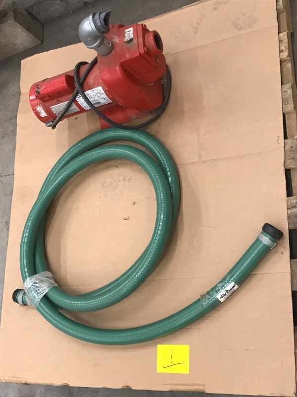 Red Lion Water Pump