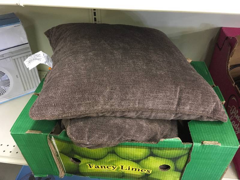 lot 464 image: PAIR OF PILLOWS