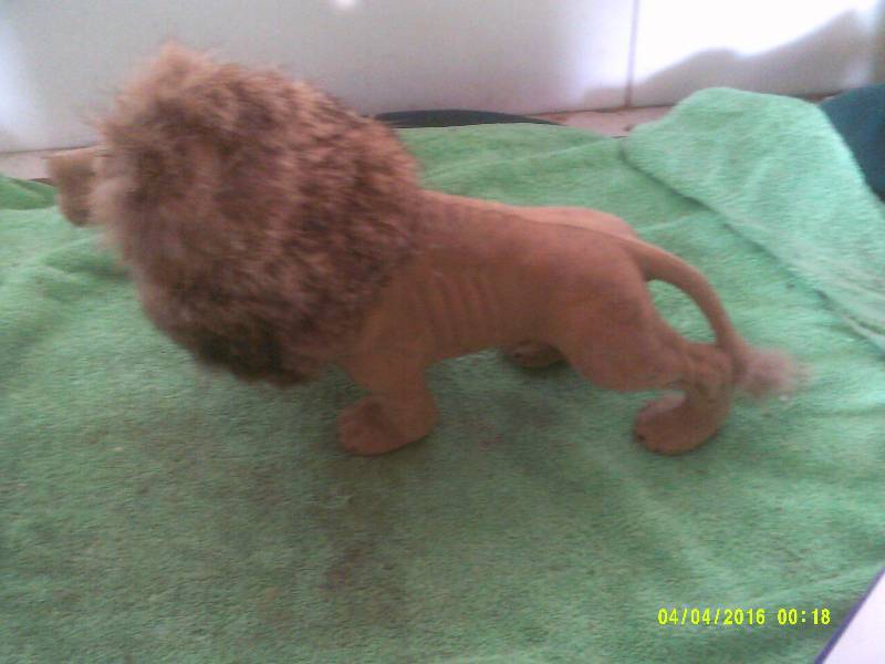 VINTAGE LION
