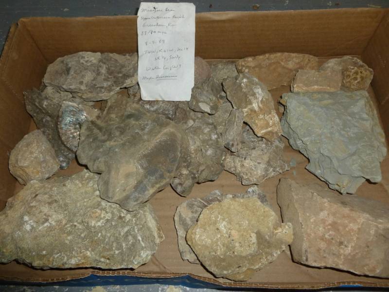 lot 97 image: Collector Rocks