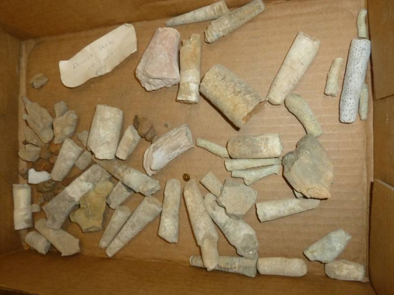 lot 153 image: Collector Rocks