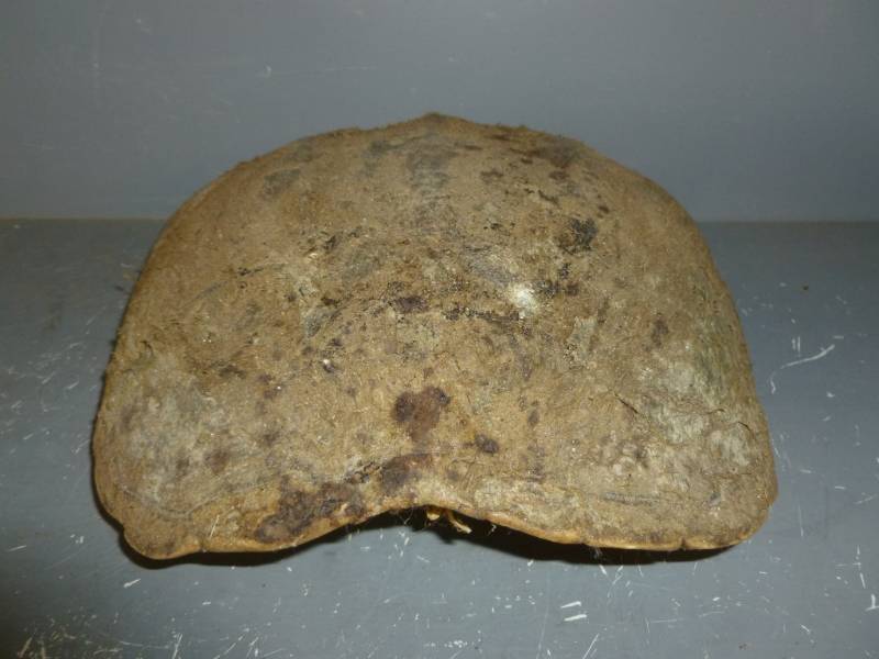 lot 198 image: Snapping Turtle Shell