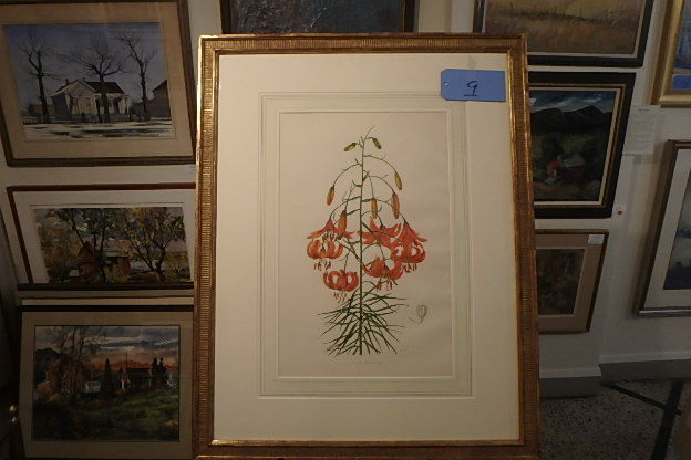 lot 9 image: Lillian Snelling, Liliun Willmotiae, 23kt Gold Leaf Frame, hand colored litho