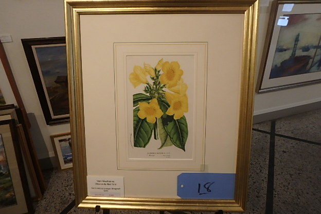 lot 18 image: Van Houtleano, hand colored Litho, late 19th century, 16 X 19