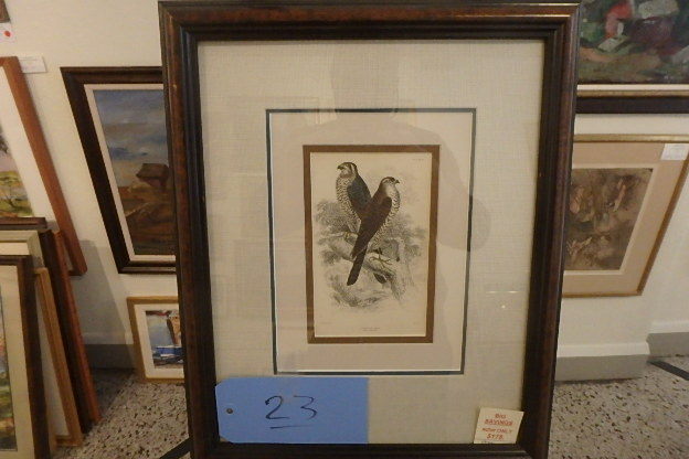 lot 23 image: Sparrowhawks, by Jardine, 19th Century, hand colored etching, 13 X 16