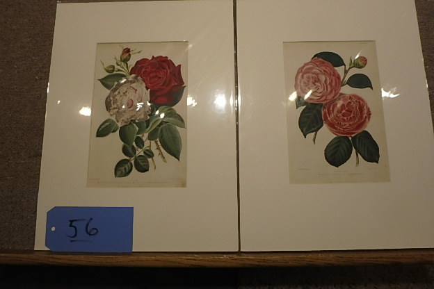 lot 56 image: Pair Hand Colored Lithos, Robert Thompson, 1859