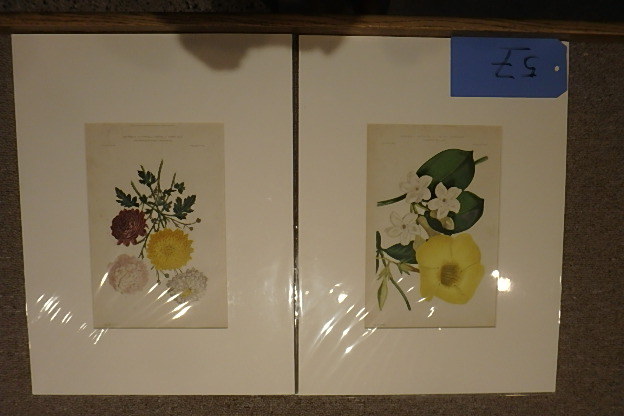 lot 57 image: Pair Hand Colored Lithos, Robert Thompson, 1859