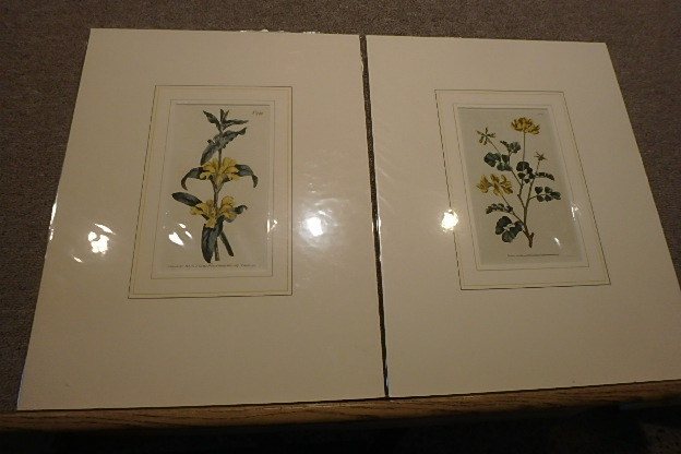 lot 59 image: 2 Curtis, 1807