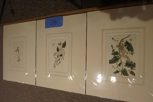 lot 60 image: 3 Curtis, 1794