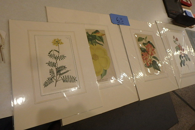 lot 63 image: 5 Antique Botanicals