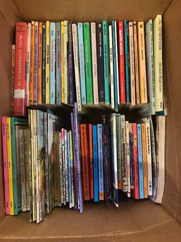 YOUNG ADULT BOOKS