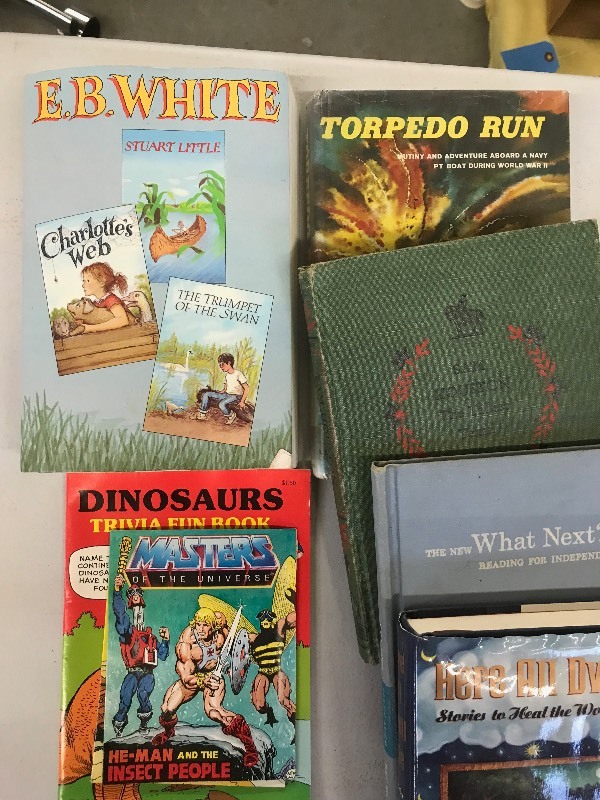 YOUNG ADULT CLASSICS