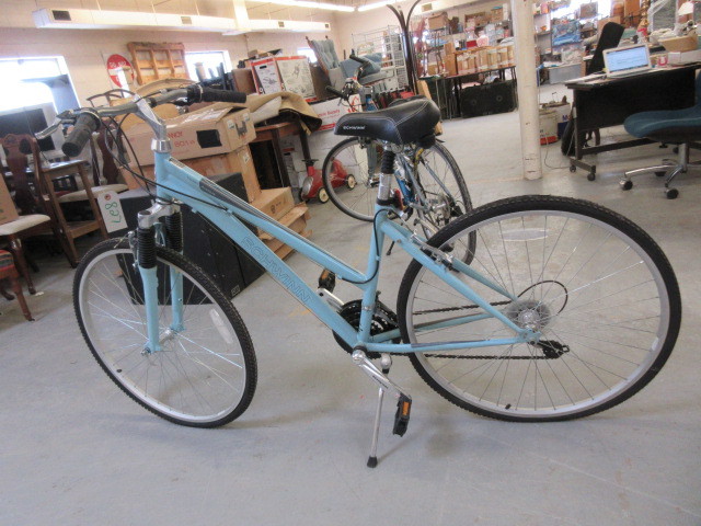 schwinn third avenue