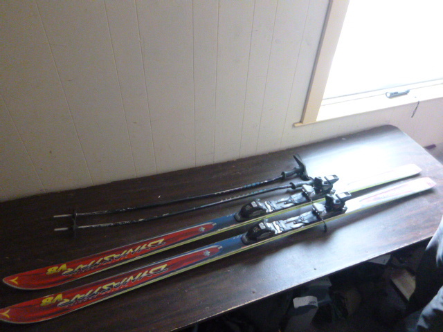 lot 177 image: Dyna Star Cross Country Skis
