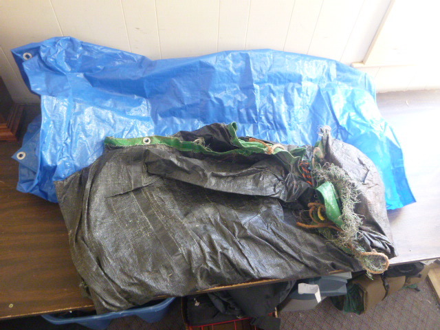 lot 201 image: 2 Traps