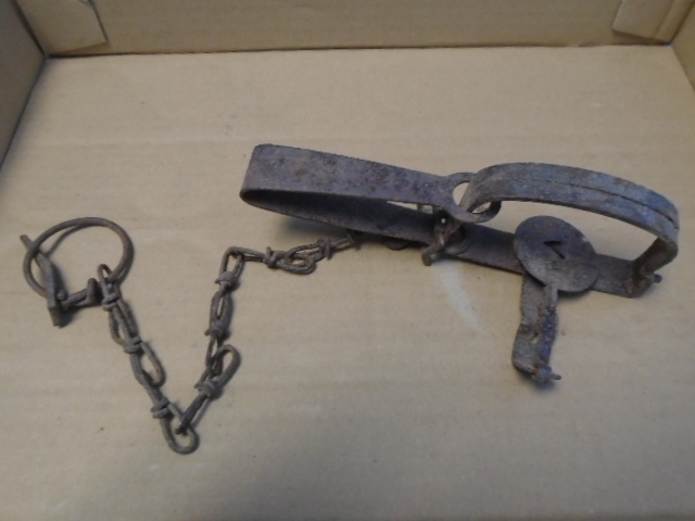 Metal Animal Trap