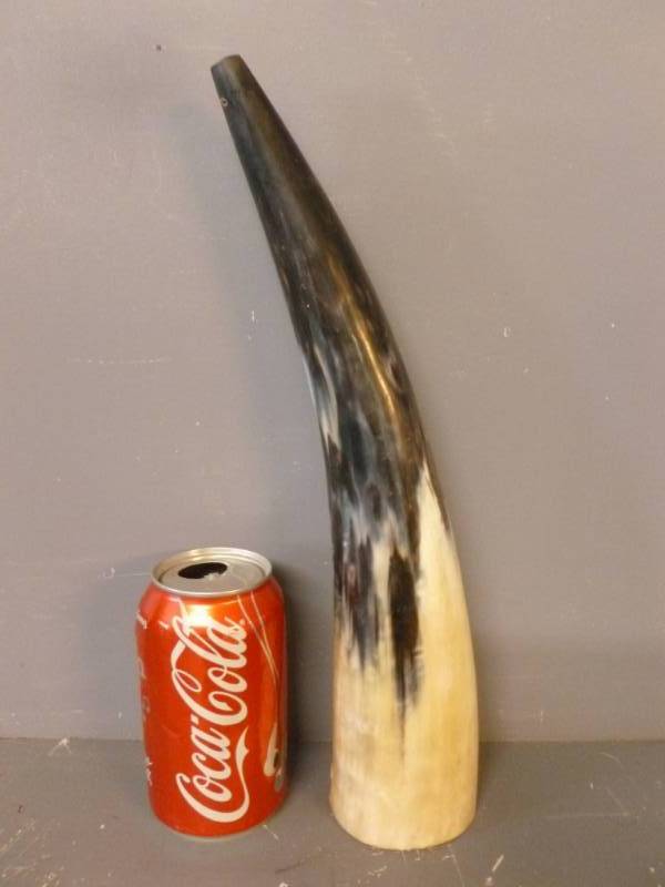 lot 12 image: Powder Horn