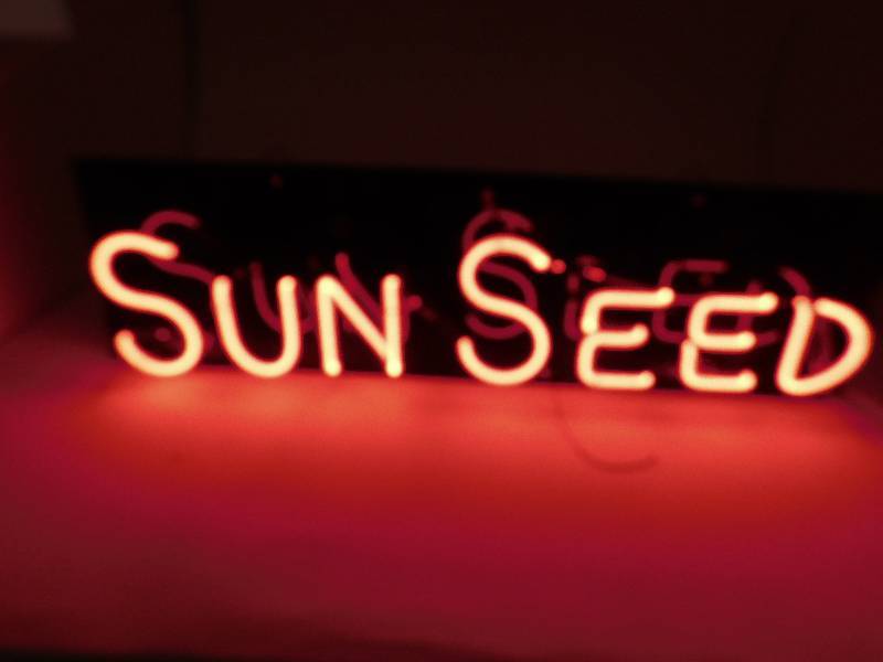 lot 46 image: Sun Seed Neon