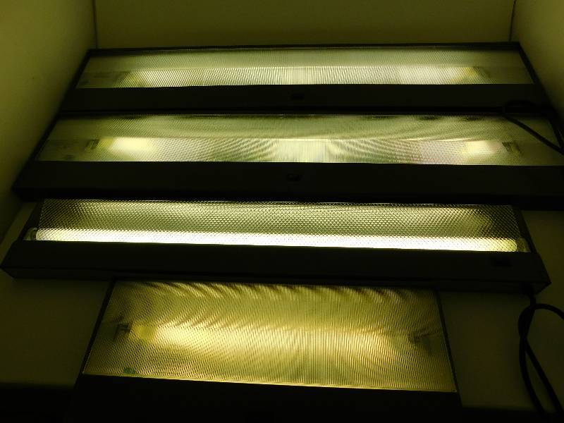 lot 91 image: Lot of 4 Florescent Lights