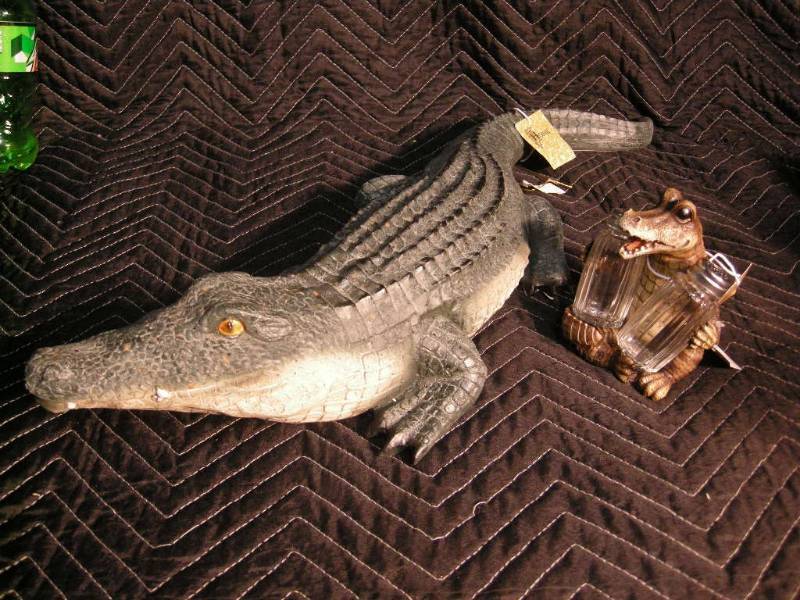 Alligators