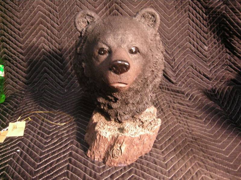 Bear Bust on Stump