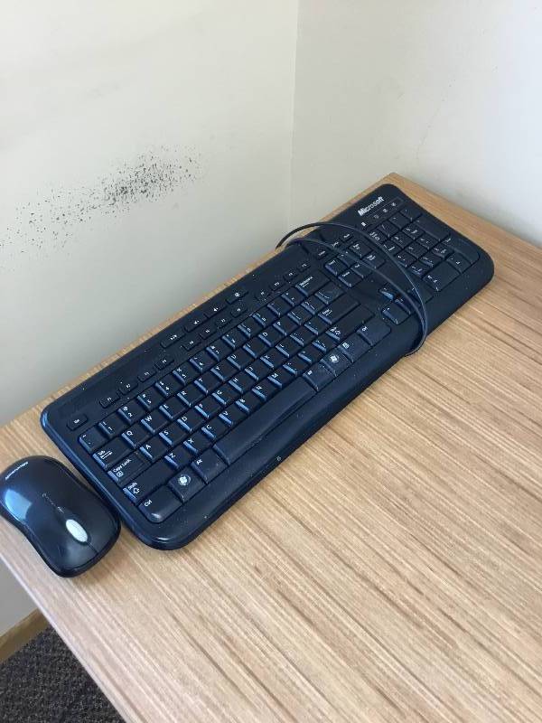 Microsoft Wired Keyboard, and wireless mouse