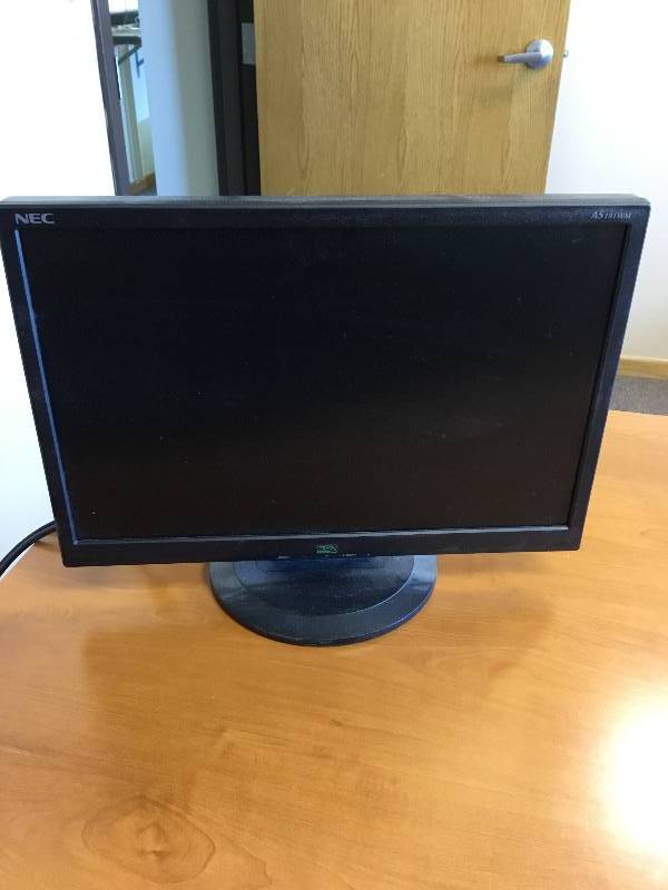 NEC Monitor - 29 Inch