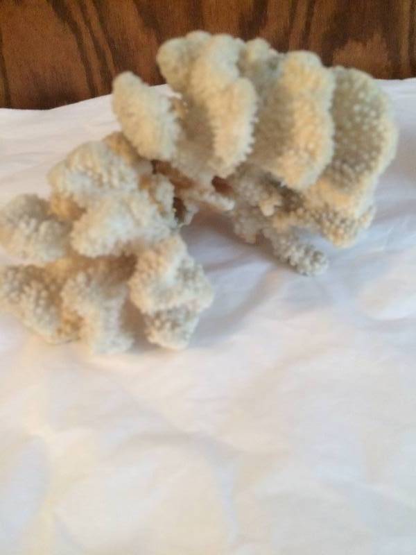 lot 65 image: Seaworld Items - Large Coral & Fish