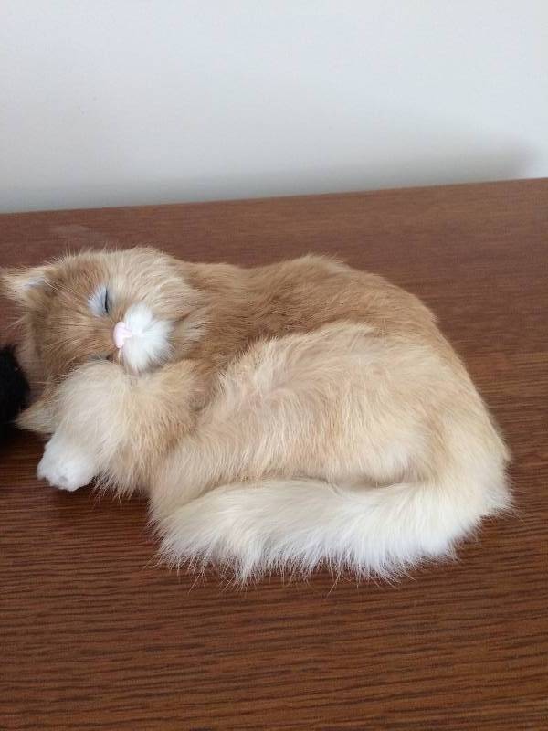 lot 140 image: Ahhhh Sooo Soft Fur Vintage Dog & Cat uses Animal Fur In Making