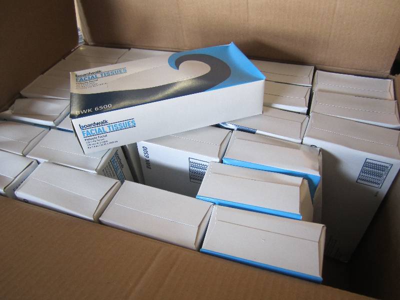 lot 203 image: Case with 27 Boxes White 2-Ply Faci...