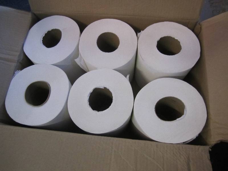 lot 219 image: Case of 6 Large Rolls 2-Ply Towels ...