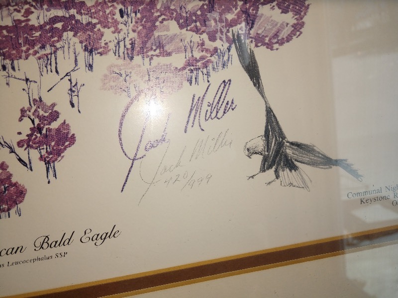 lot 25 image: The American Bald Eagle Signed Jack Miller 420999 Framed Art