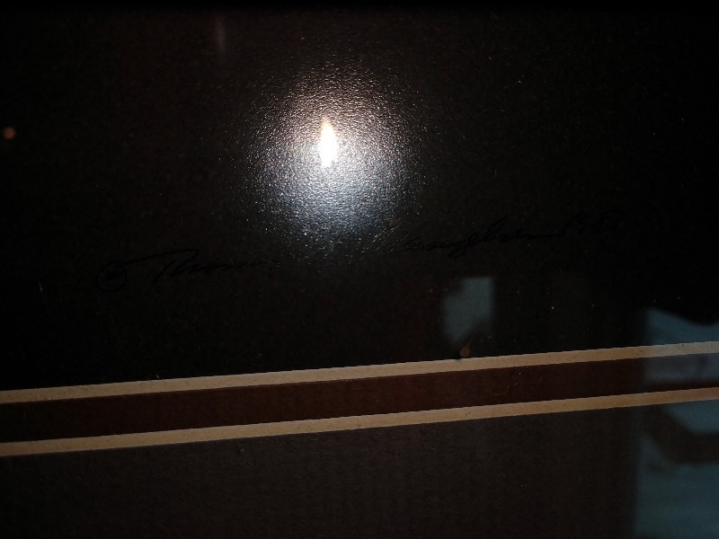 lot 27 image: Framed Photograph of Bald Eagle Signed by Thomas D. Mangelsen