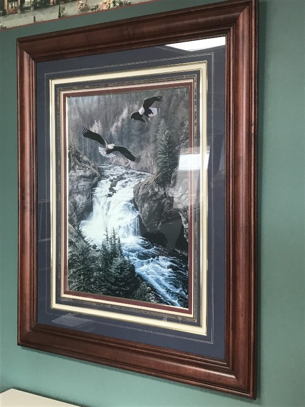 lot 87 image: Framed Bald Eagle Print, Measures ...