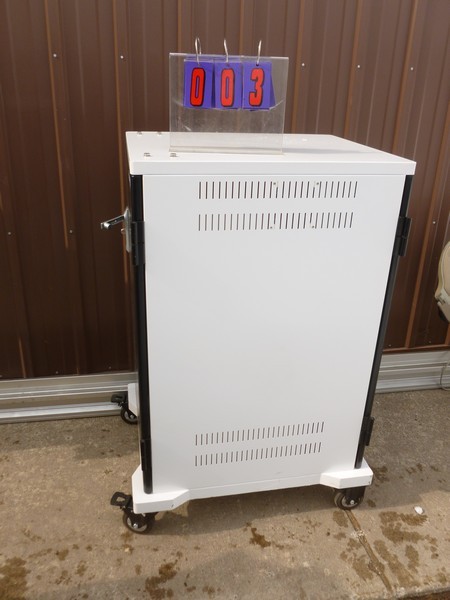 SnS Auctions # 311 Early March Consignment