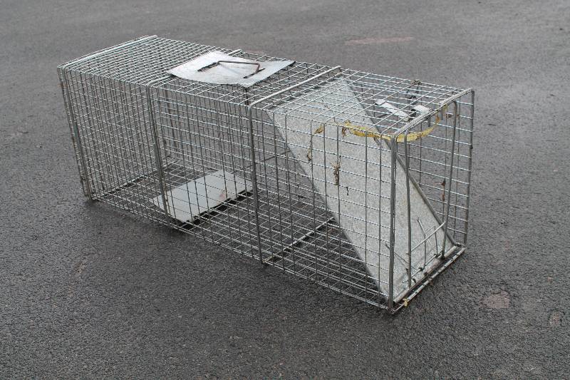 Catch & Release Traps