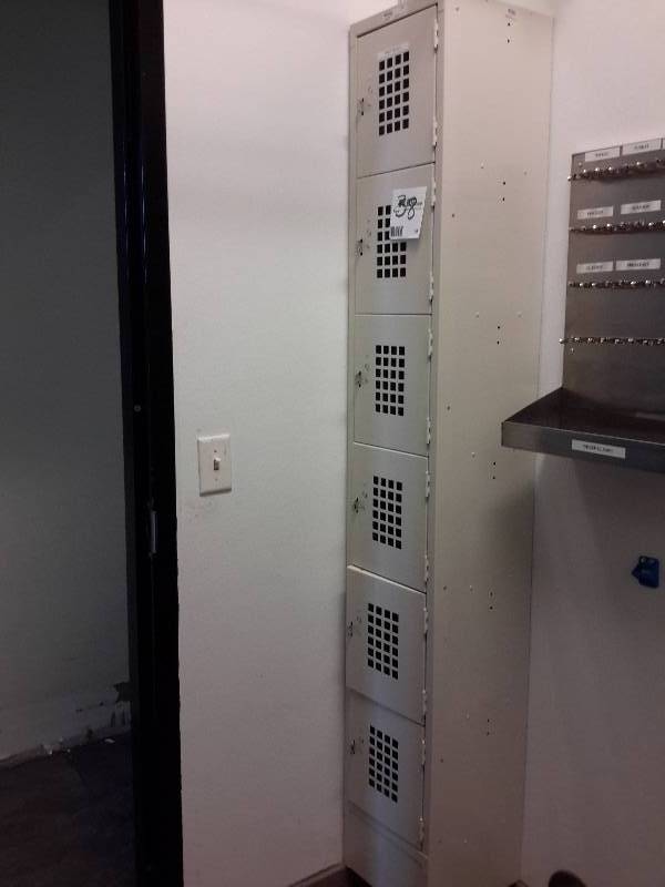 lot 38 image: 6 cube locker cabinet.